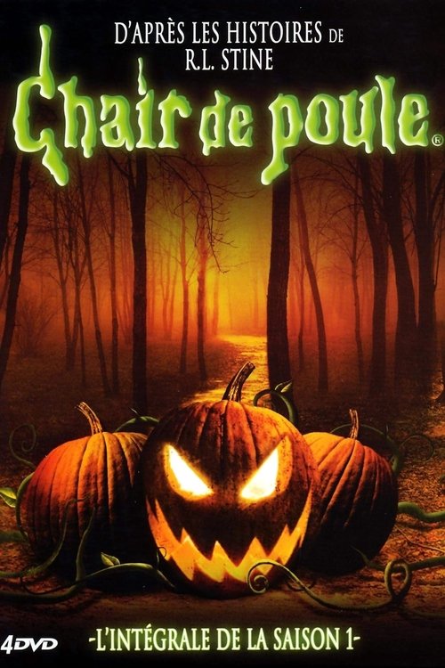 Jaquette Chair de poule