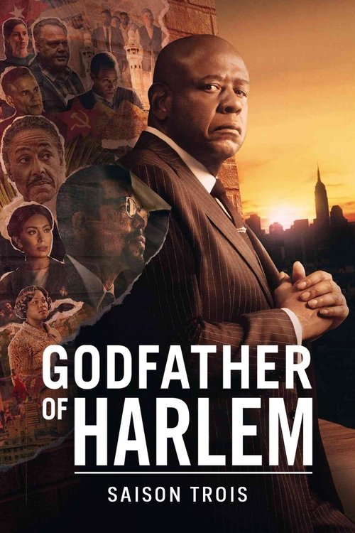 Jaquette Godfather of Harlem