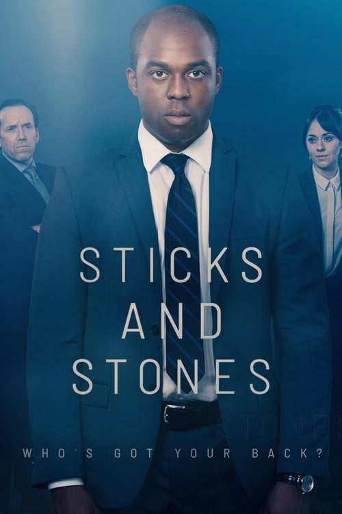Jaquette Sticks and Stones