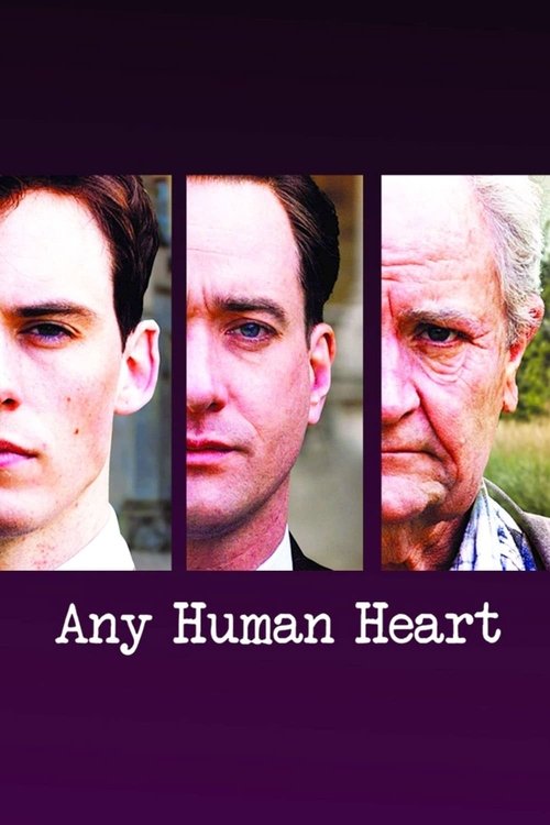 Jaquette Any Human Heart