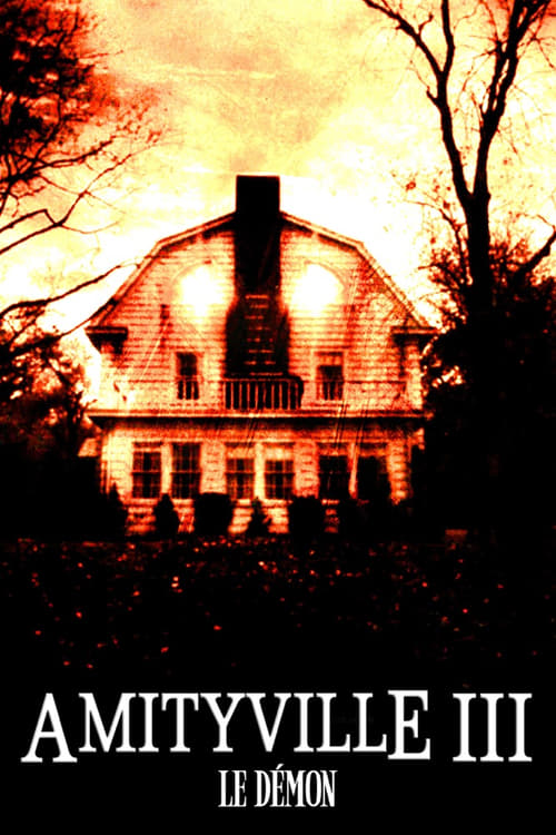 Jaquette Amityville III : Le démon