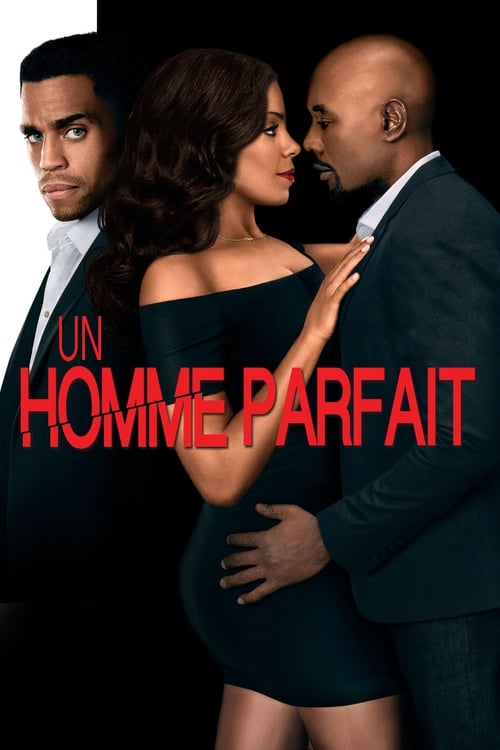 Jaquette Un homme parfait