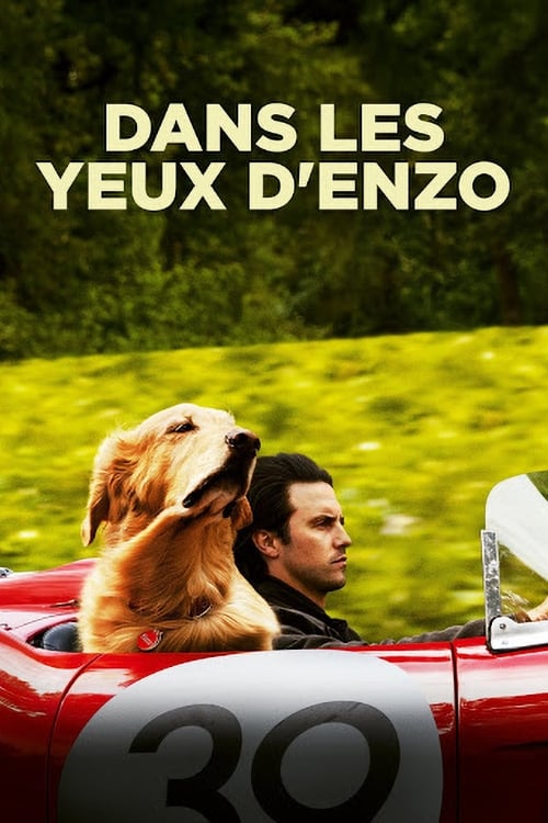 Jaquette Dans les yeux d'Enzo