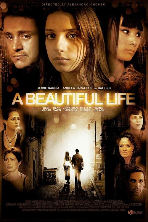 Jaquette A Beautiful Life
