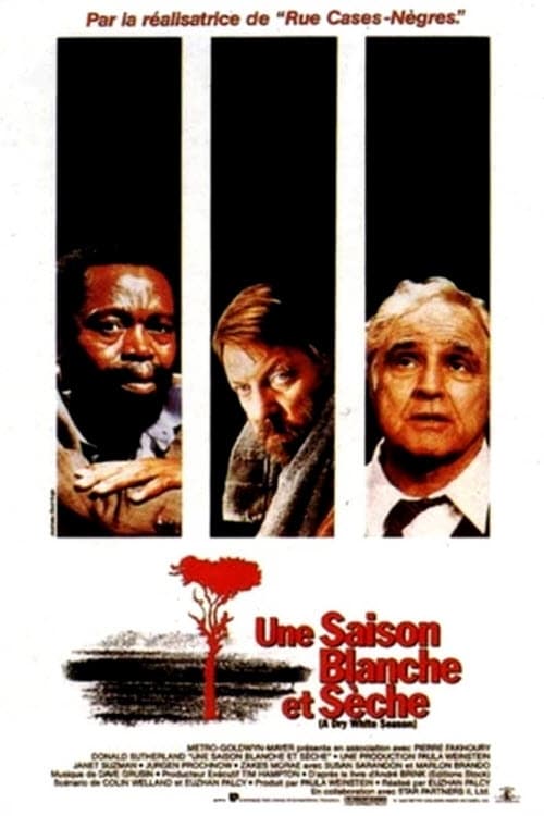 Jaquette Une Saison blanche et sèche