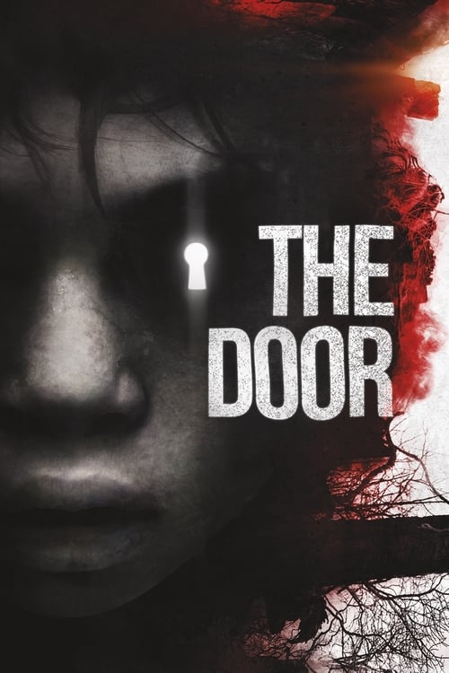 Jaquette The Door
