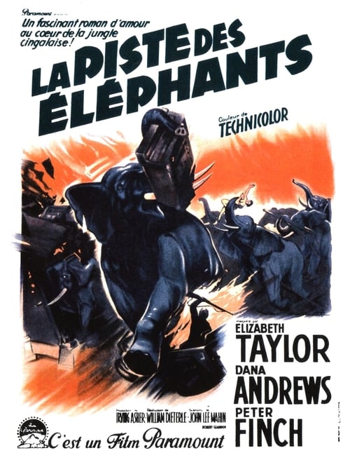 Jaquette La piste des éléphants