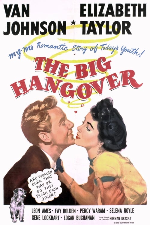 Jaquette The Big Hangover