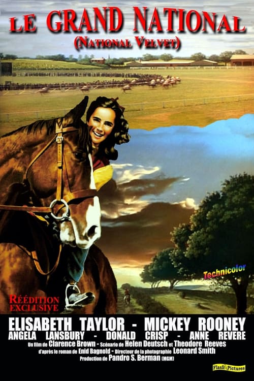 Jaquette Le grand national