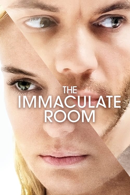 Jaquette The Immaculate Room