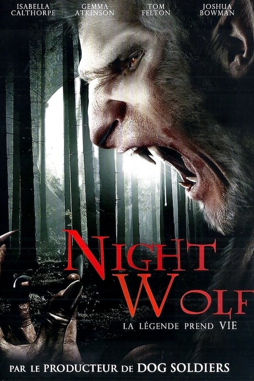 Jaquette Night Wolf