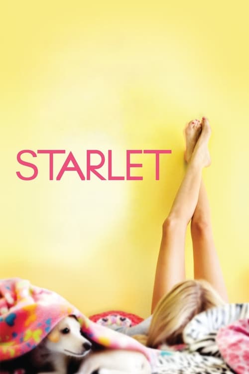 Jaquette Starlet