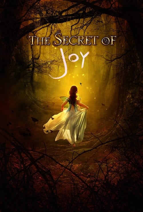 Jaquette The Secret of Joy
