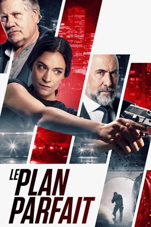 Jaquette Le Plan Parfait