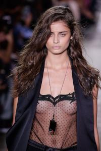 Taylor Hill 1588